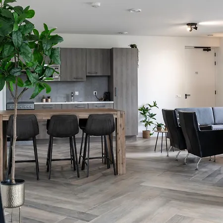 Xl Newly Built Nature Loft , Fast Wifi Apartment Ledeacker